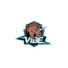 Vibe